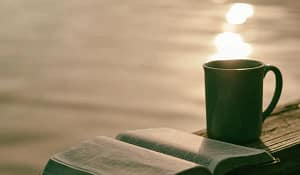 Read more about the article How to Get Your Book Noticed? These 7 Tips Will Help
